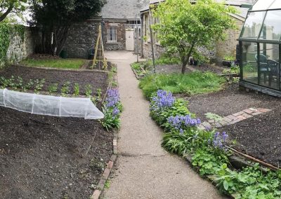 kitchen garden 2023