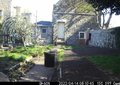 kitchen garden march 2022