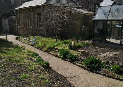 Kitchen Garden March 2022