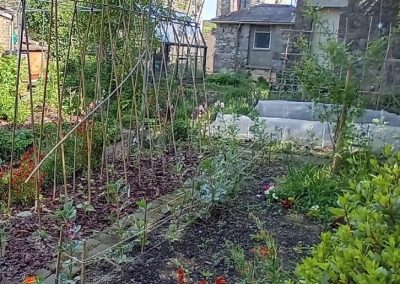Kitchen Garden May 2024
