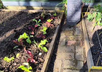 Adobe Express file 2 1 - Friends now have regular monthly meetings