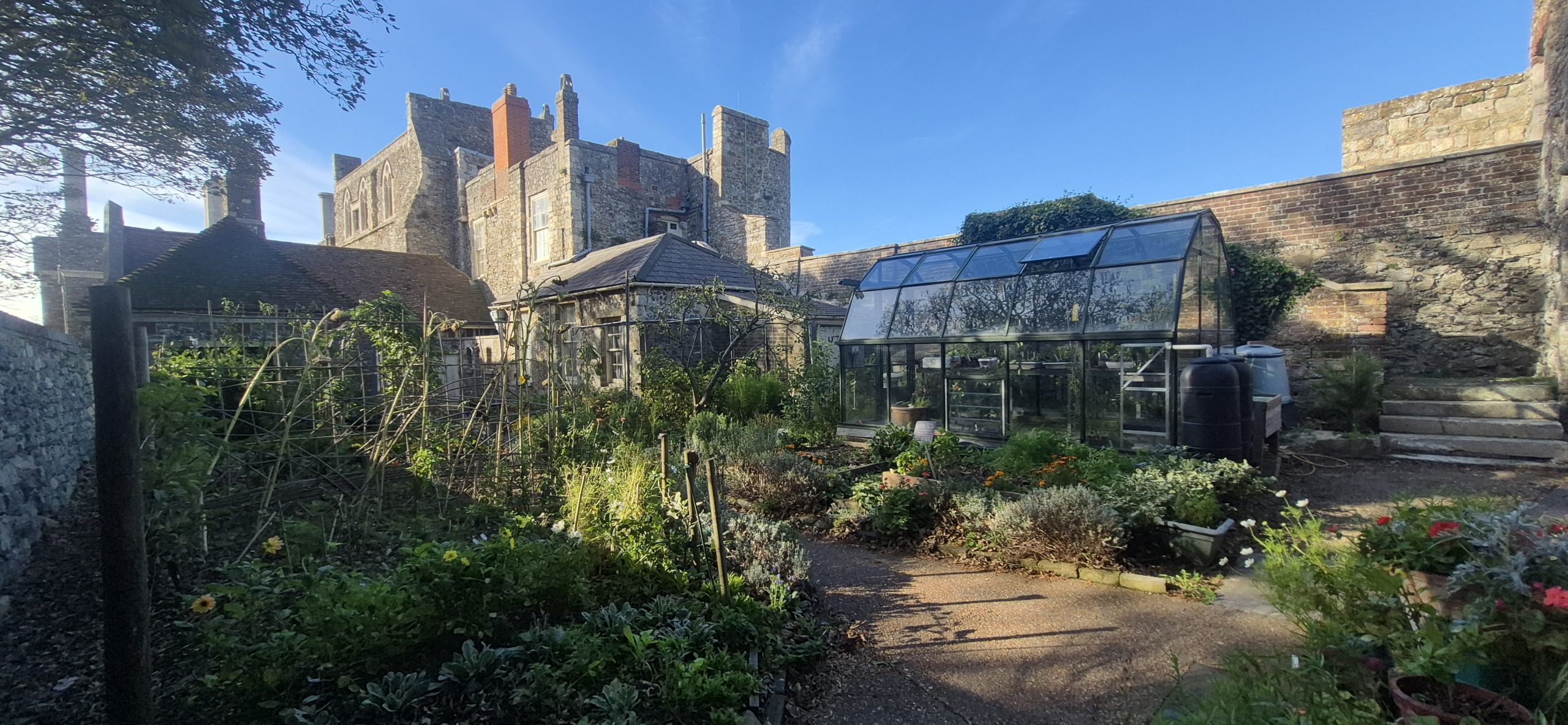 Kitchen Garden