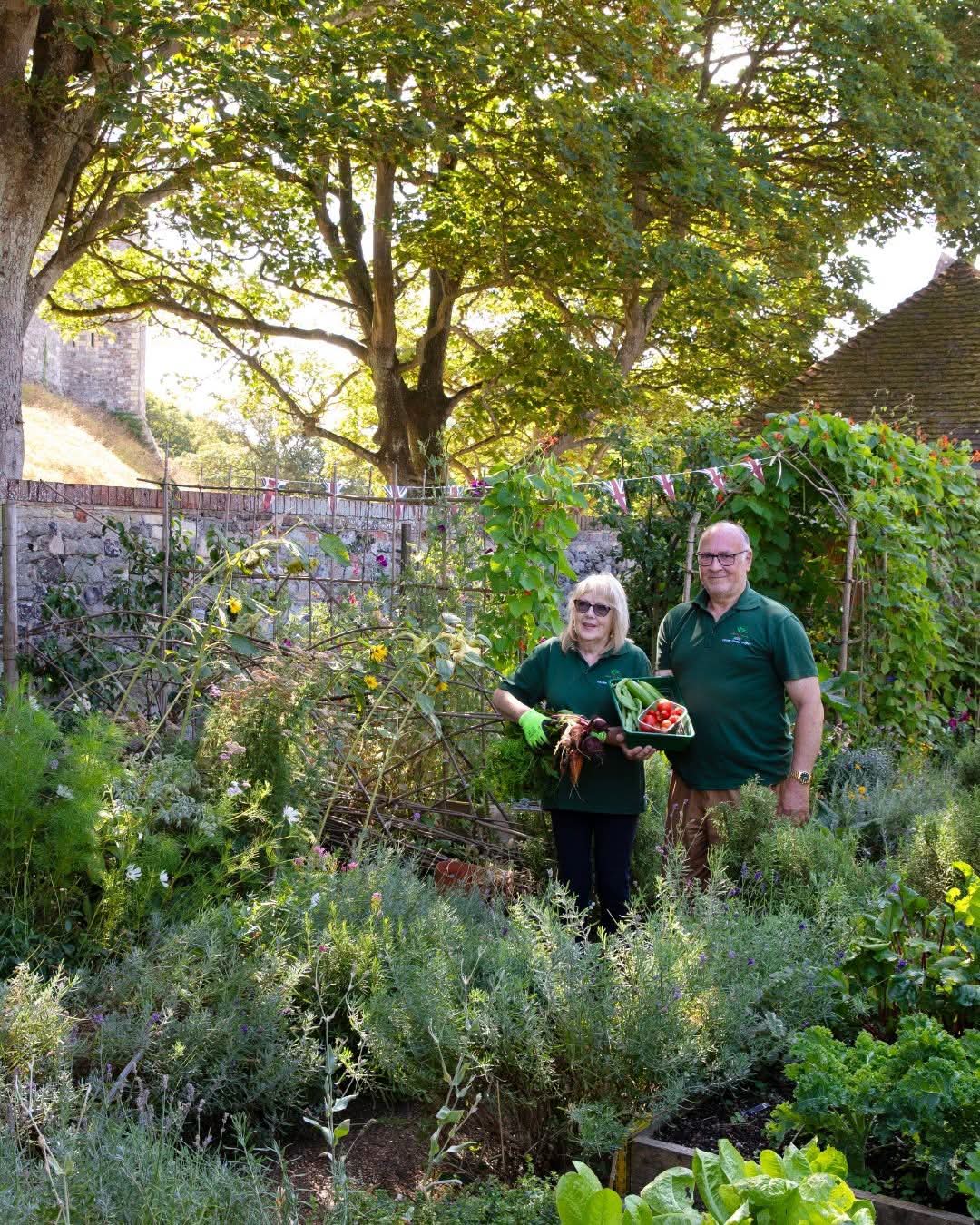 Kitchen Garden