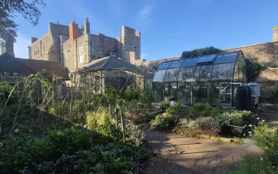 Our next Kitchen Garden Open Day is 25th July 2026