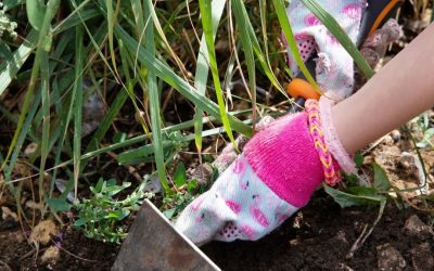 Dover In Bloom Awards 2026